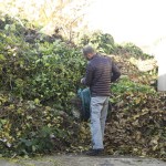 Sammelstelle für Gartenabfälle geschlossen am 28.10.2022