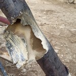 Gas: Notfalleinsatz in der Pfarrhofstraße