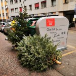 Weihnachtsbaumsammlung 2024 in Bozen
