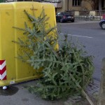 Leifers: SEAB-Dienste zu Weihnachten