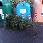 Sammlung ausgedienter Weihnachtsbäume ab 04/01/2021