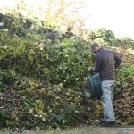 Grünschnittabgabe Recyclinghof Leifers