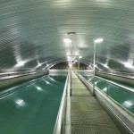Serbatoio Flavon - Wasserspeicher Pfarrhof