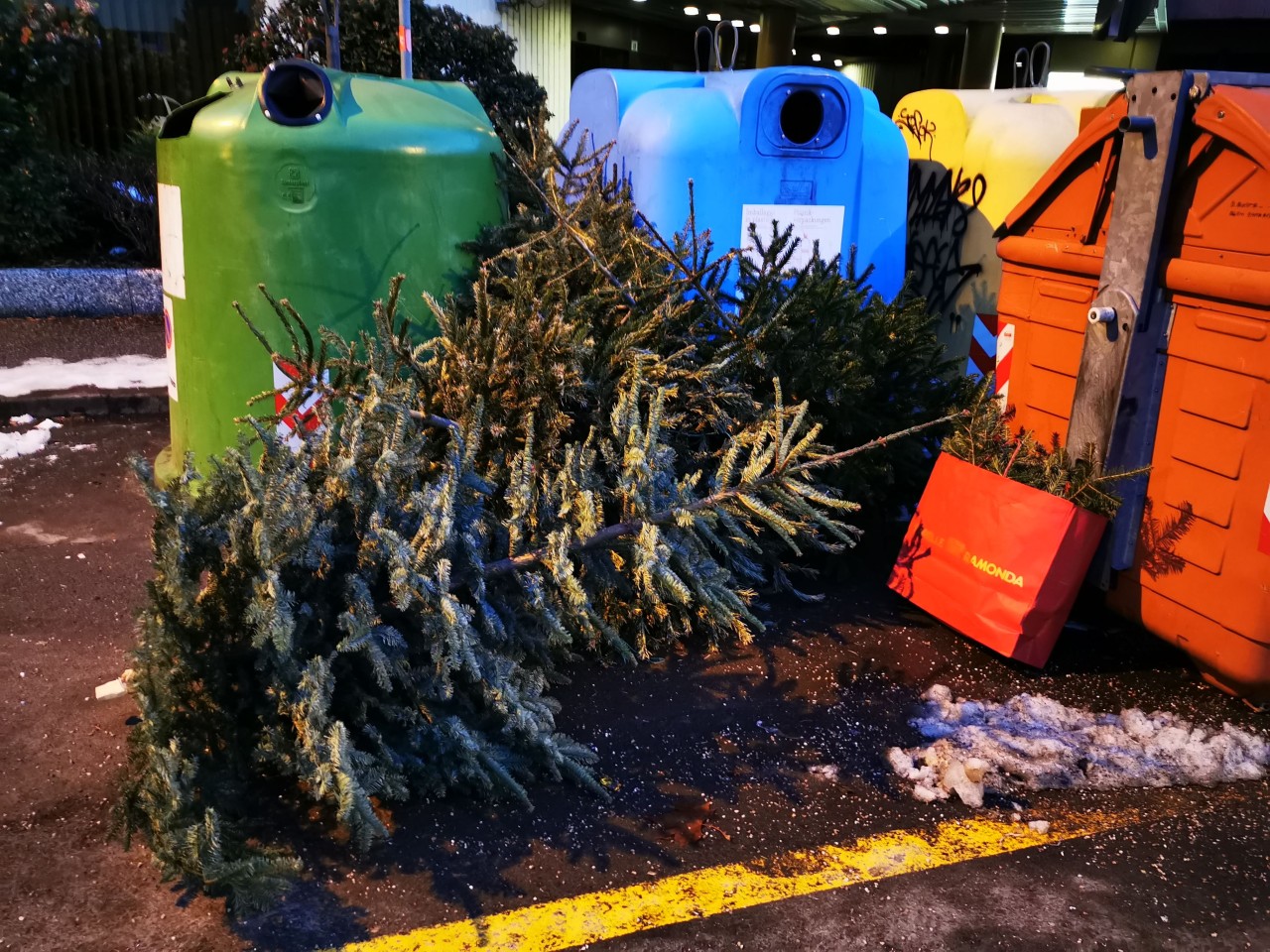 Ab dem 3. Jänner 2022 sammelt SEAB ausgediente Weihnachtsbäume