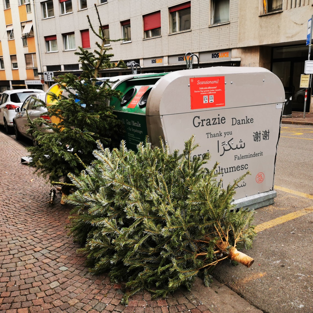 Weihnachtsbaumsammlung 2024 in Bozen
