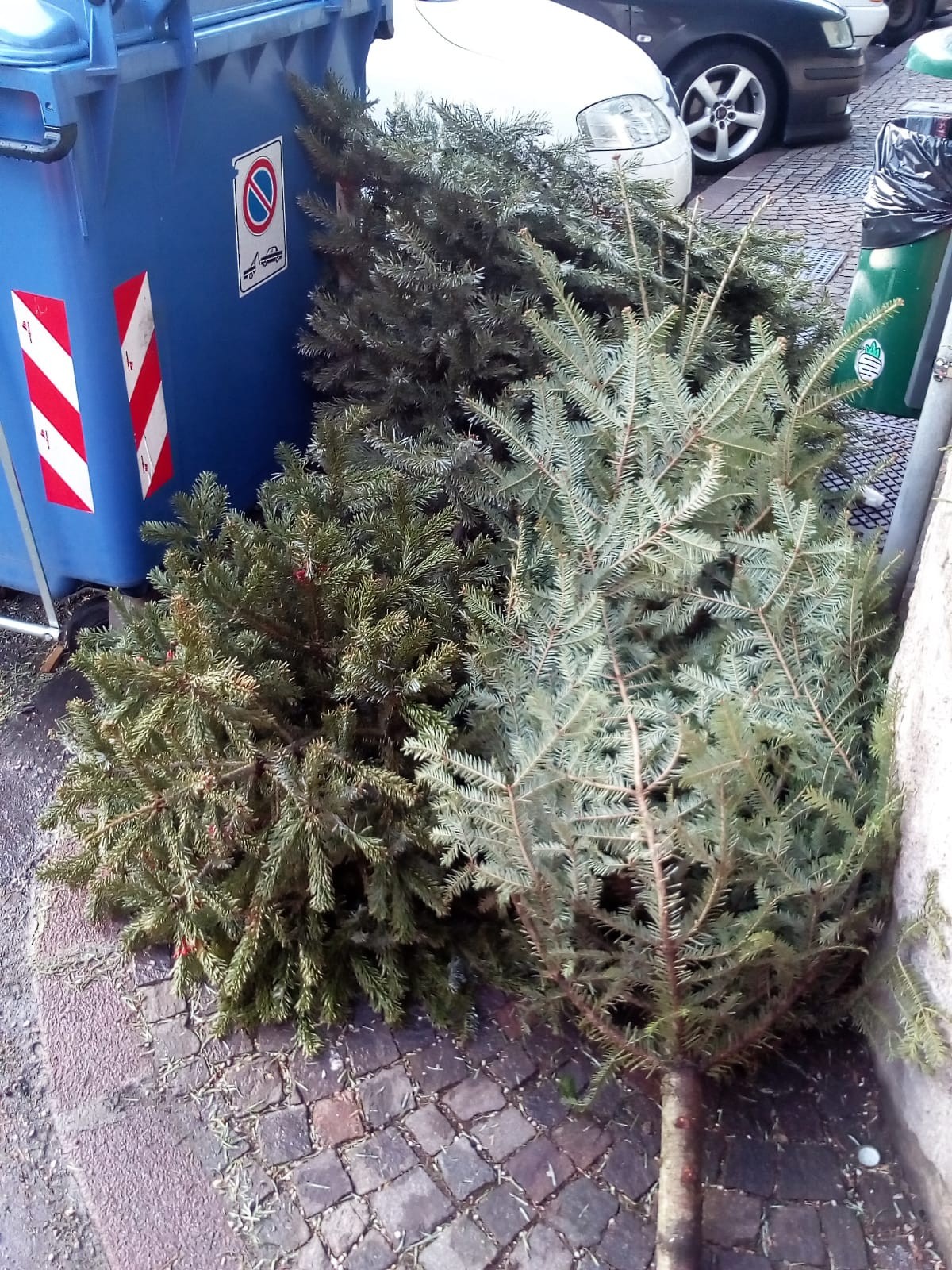 Christbaumentsorgung 2022 in Leifers