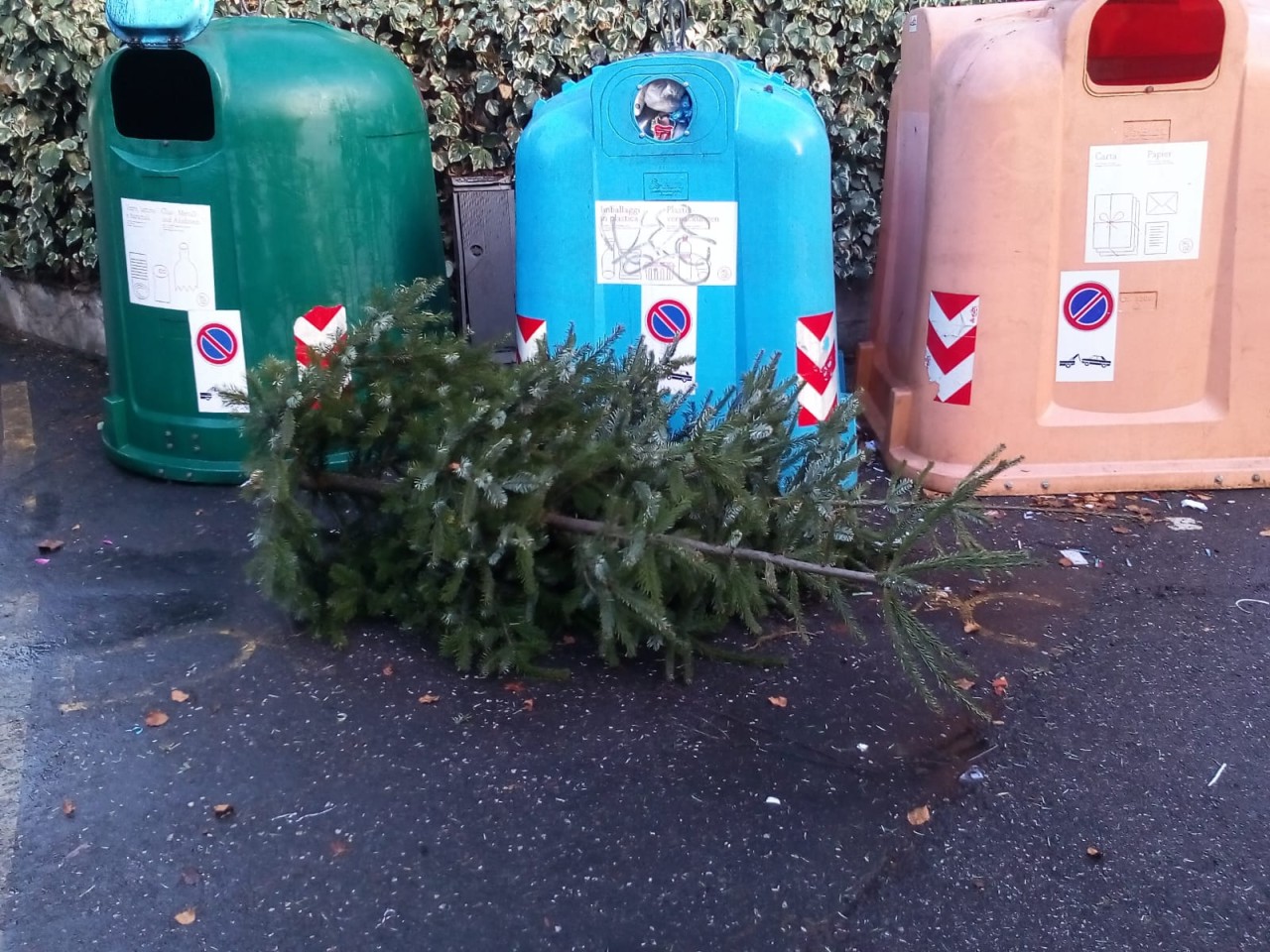 Raccolta alberi di Natale dal 4 gennaio 2021