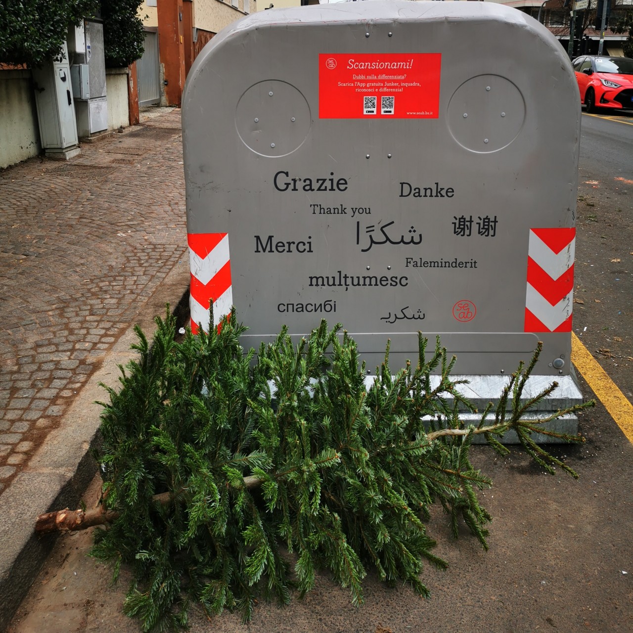 Weihnachtsbaumsammlung - Raccolta alberi di Natale